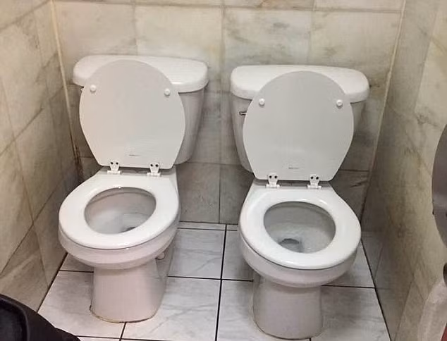 Đôi bạn cùng tiến?