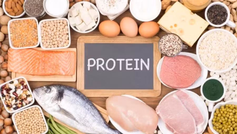 Nguồn thức ăn từ động vật chứa một lượng lớn protein. (Ảnh: ITN)