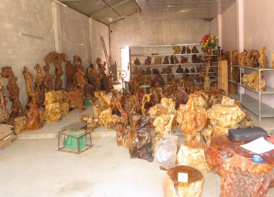 Gỗ thu mua được dùng để chế tác sản phẩm mỹ nghệ. Gỗ thu mua được dùng để chế tác sản phẩm mỹ nghệ.