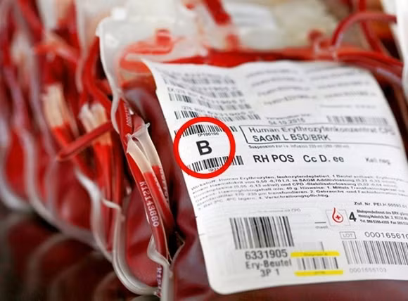 bí ẩn khoa học đến giờ chưa có lời giải, bí ẩn khoa học, khoa học