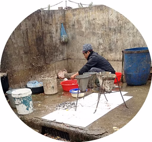 Nơi sơ chế mất vệ sinh nghiêm trọng Nơi sơ chế mất vệ sinh nghiêm trọng