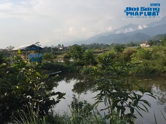 Đột nhập 