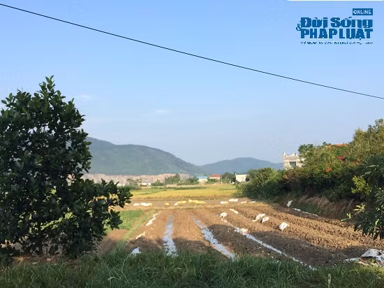 Đột nhập 