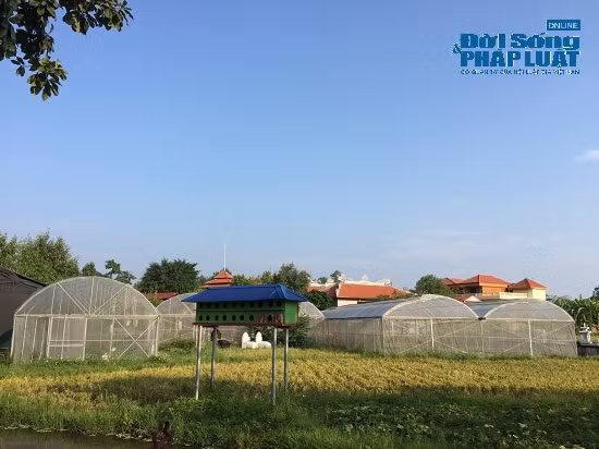 Đột nhập 