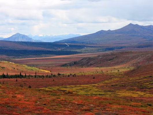 Gần 3 triệu năm trước, Greenland trông giống như lãnh nguyên Alaska.