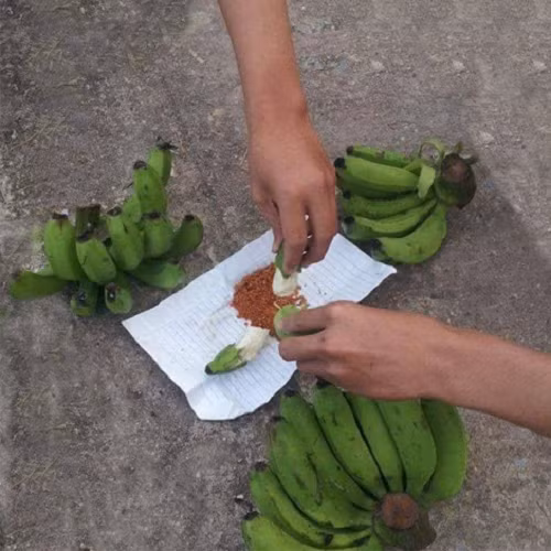 Món ăn của tuổi thơ. Món ăn của tuổi thơ.
