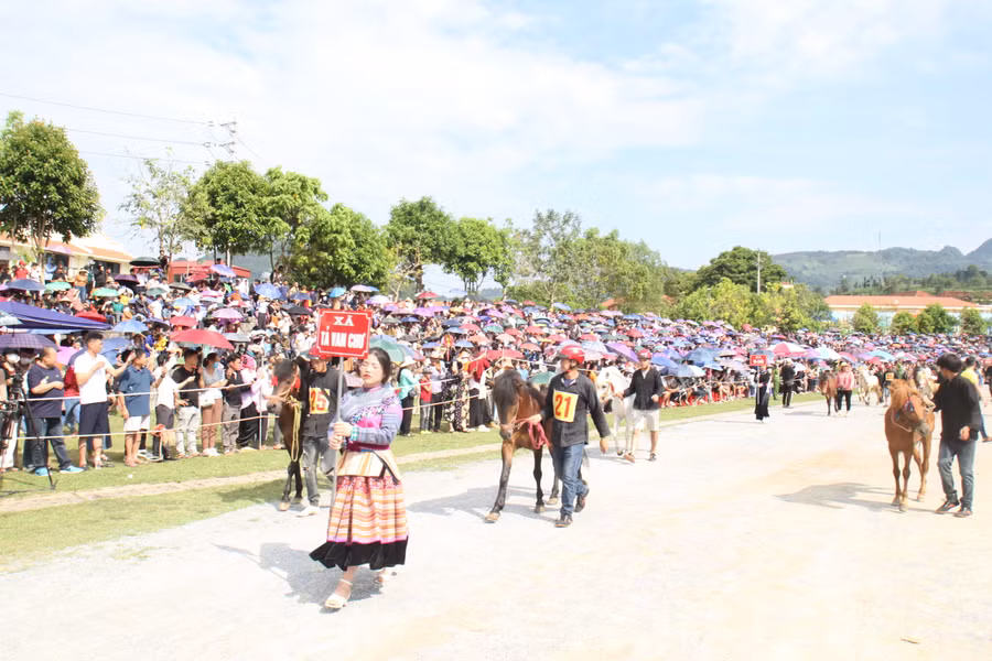 Đoàn ngựa xã Tả Van Chư, huyện Bắc Hà diễu hành tại Giải đấu.