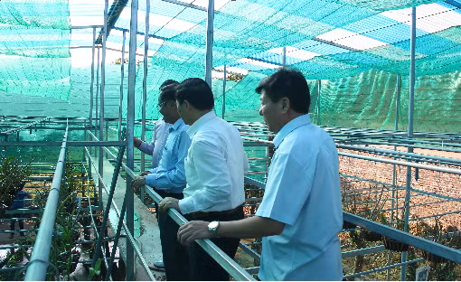 Dự án thu thập lưu giữ, định danh một số loại lan rừng phục vụ công tác bảo tồn nguồn gen; xây dựng bảo tàng về các loại lan rừng trên địa bàn tỉnh tại hồ Núi Cốc. Đây là một trong những nội dung hợp tác giữa UBND tỉnh Thái Nguyên và ĐHTN. Dự án thu thập lưu giữ, định danh một số loại lan rừng phục vụ công tác bảo tồn nguồn gen; xây dựng bảo tàng về các loại lan rừng trên địa bàn tỉnh tại hồ Núi Cốc. Đây là một trong những nội dung hợp tác giữa UBND tỉnh Thái Nguyên và ĐHTN.
