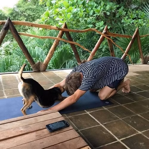 Yoga đôi cho chủ và cún cưng. Yoga đôi cho chủ và cún cưng.
