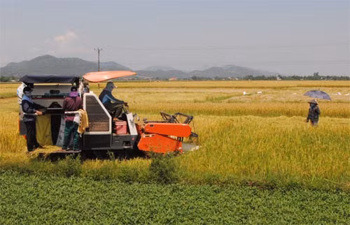 Sứ mệnh hợp tác xã nông nghiệp
