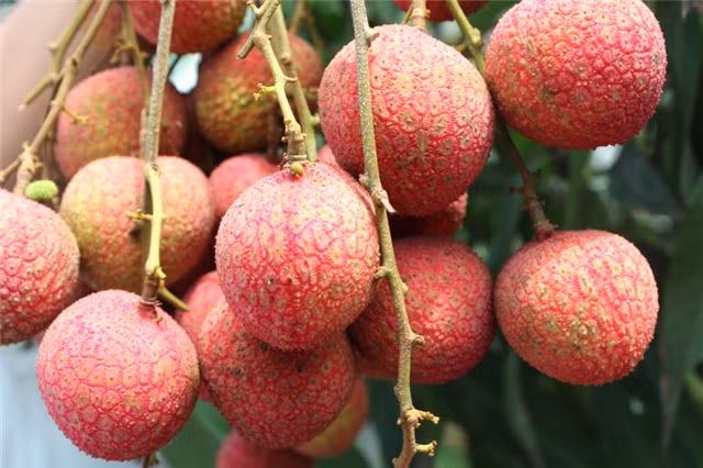Ăn vải, bạn nhất định phải lưu ý những điều này ảnh 3