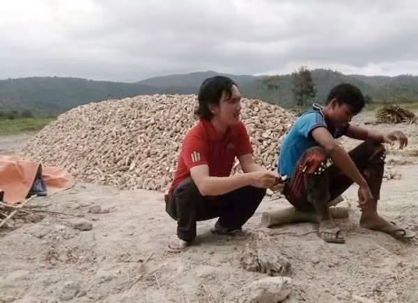giáo dục 2017