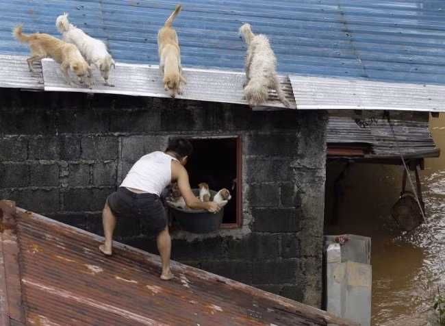 26 bức ảnh chạm đến trái tim có thể khiến bạn bật khóc