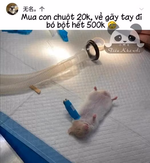 Chuyện xui rủi.