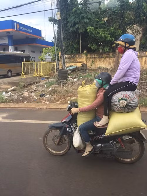Người vận chuyển phiên bản Việt.