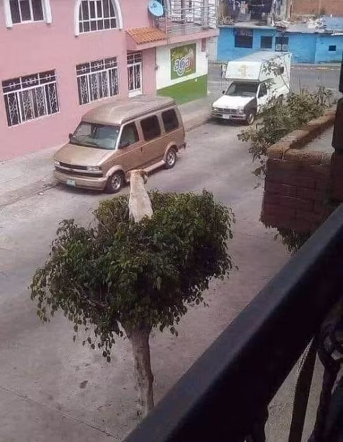 Camera chạy bằng cơm.