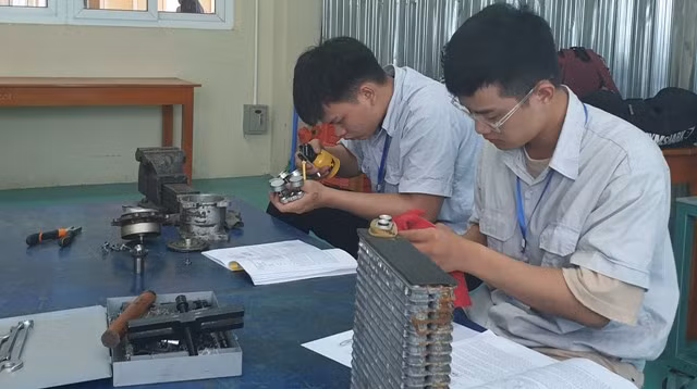 Giới trẻ Việt Nam mong muốn có thêm những chương trình đào tạo thực tiễn hơn