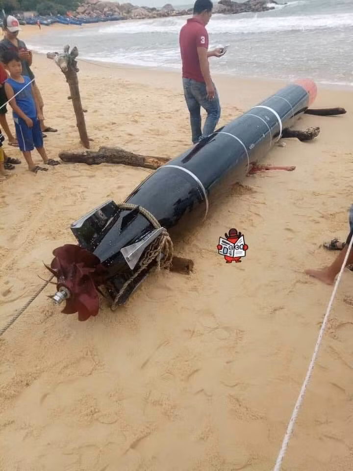 Su that vat the la giong ngu loi dinh luoi ngu dan o Quang Binh hinh anh 2