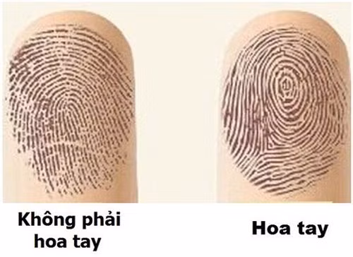 Phụ nữ sở hữu hoa tay sau chắc chắn sẽ giàu sang phú quý, lấy chồng đại gia ảnh 1