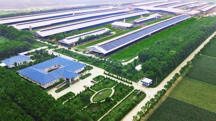 Phát triển bền vững đã được Vinamilk đưa vào chiến lược trọng yếu, thể hiện trong việc Vinamilk đã mở rộng và xây dựng mới hệ thống trang trại bò sữa công nghệ cao trong suốt gần 20 năm qua.