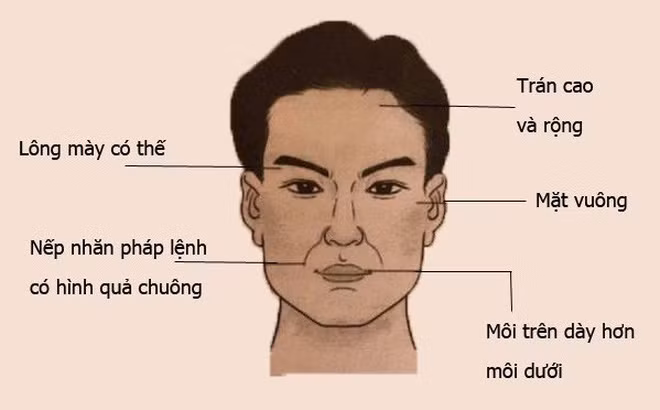 Tướng đàn ông kiếp trước được lòng Thần Tài, kiếp này làm gì cũng không lo nghèo đói