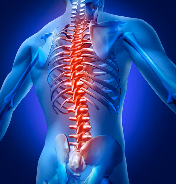Doctors Recommend Lifting Your Arms Overhead More Often, and Here Are9 Reasons Why - 6