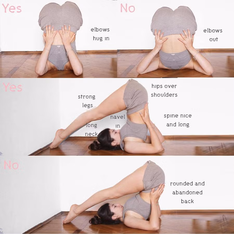 7 tư thế yoga giúp chữa đau lưng và trị chứng mất ngủ