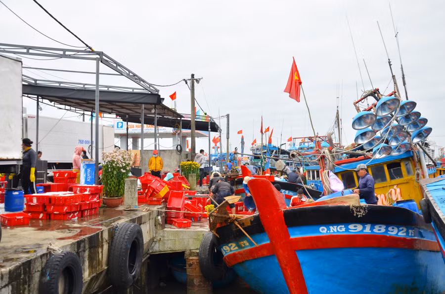 Cảng cá Bình Châu (huyện Bình Sơn, tỉnh Quảng Ngãi) những ngày đầu năm vô cùng sôi động bởi các tàu cá liên tục cập bến. Cảng cá Bình Châu (huyện Bình Sơn, tỉnh Quảng Ngãi) những ngày đầu năm vô cùng sôi động bởi các tàu cá liên tục cập bến.