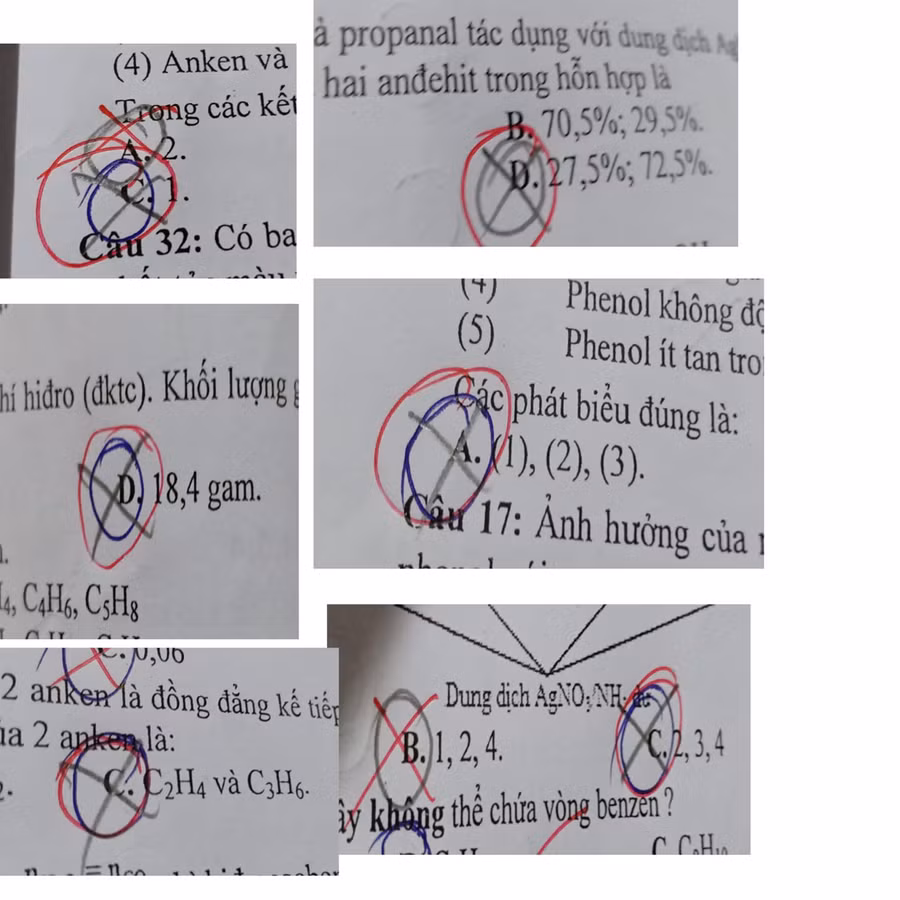 Ảnh: Yến Nhi/Group Trường Người Ta