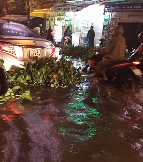 Mưa kéo dài suốt ngày 25/11, khiến nhiều tuyến đường tại Quận 8 biến thành sông, Xe chạy trên đường với bèo trôi lềnh bềnh như trên sông