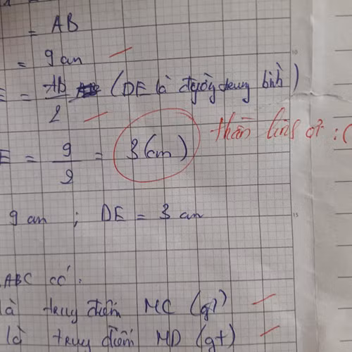 Chắc hẳn cô là fan ruột phim Ấn Độ.