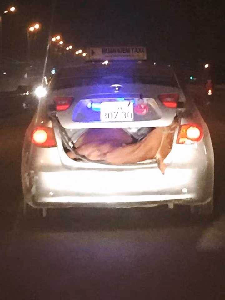 Hành lý
