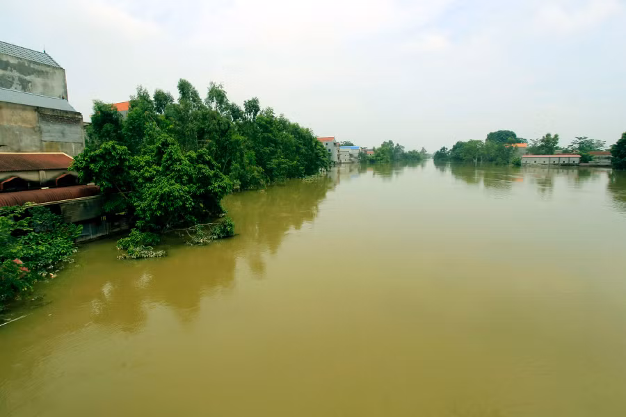 Mênh mang sông Bùi...