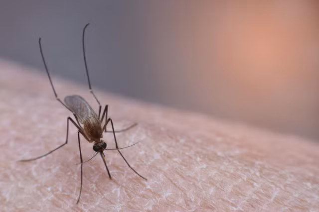 Nhận diện những nhiễm trùng, bệnh lý thường gặp trong mùa hè ảnh 3