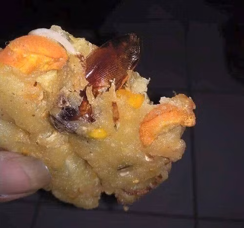 Bánh gián là có thật.