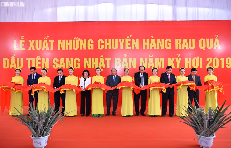 Thủ tướng dự lễ xuất những chuyến hàng rau quảđầu tiên của Công ty Doveco sang Nhật Bản trong năm Kỷ Hợi 2019 - Ảnh: VGP/Quang Hiếu. Thủ tướng dự lễ xuất những chuyến hàng rau quảđầu tiên của Công ty Doveco sang Nhật Bản trong năm Kỷ Hợi 2019 - Ảnh: VGP/Quang Hiếu.