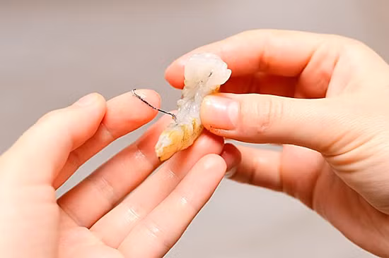 Đường chỉ đen trên lưng tôm. Ảnh: Health