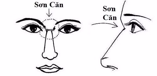 Vị trí sơn căn.