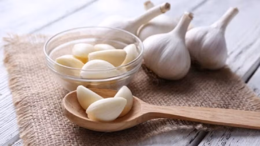 Nhai tỏi sẽ giải phóng các hợp chất có lợi như allicin, có đặc tính kháng khuẩn và chống viêm. (Ảnh: ITN)