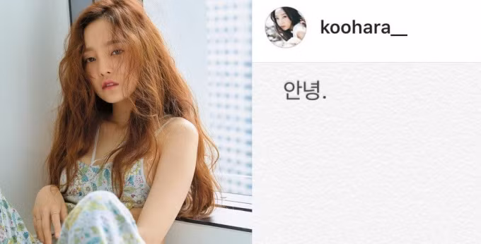 Loạt tin nhắn "báo trước" vụ tự tử bất thành của Goo Hara ảnh 1 Dòng chữ Tạm biệt Goo Hara để lại trên trang cá nhân, hiện đã bị xóa.
