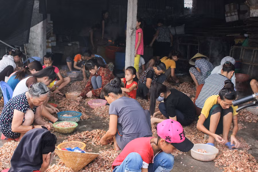 Những đứa trẻ tham gia bóc vỏ tôm kiếm tiền tại cơ sở chế biến tôm nõn phường Nghi Thủy, Cửa Lò, Nghệ An.