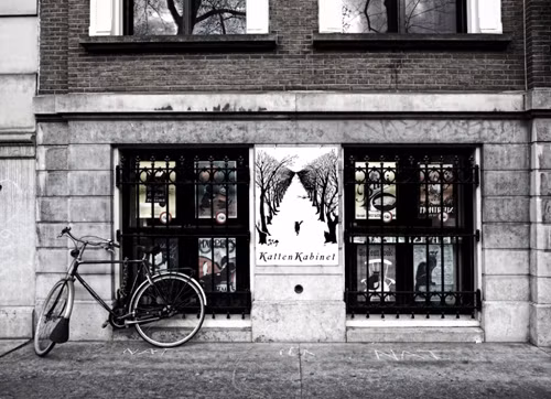 Amsterdam có nhiều bảo tàng độc đáo như: bảo tàng mèo, bảo tàng mắt kính… đặc biệt là bảo tàng bia, mang lại những phút giây thư giãn cho du khách. polyad