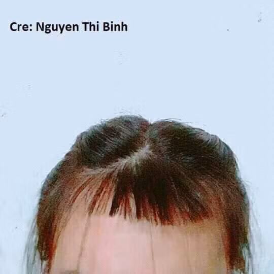 Tóc thế này thì chủ nhân biết cứu vớt diện mạo ra sao?