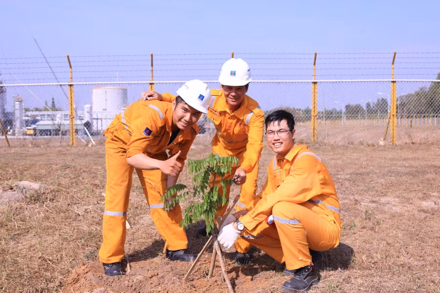 Luân tham gia vào hoạt động trồng cây xanh do công ty tổ chức