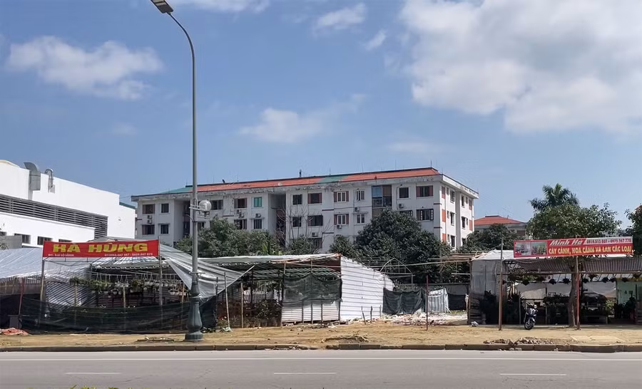 Khu đất dự án trên đại lộ Lê Nin, thành phố Vinh bỏ không hơn 10 năm, một số hộ thuê để bán cây cảnh.