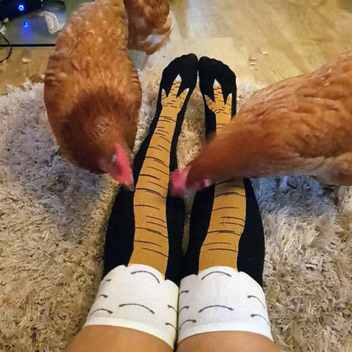 Tá hỏa với bí kíp để chị em có cặp chân thon gọn - 2