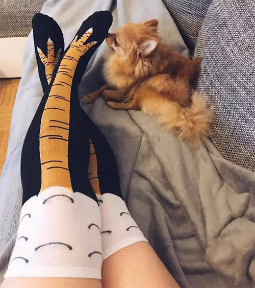 Tá hỏa với bí kíp để chị em có cặp chân thon gọn - 5