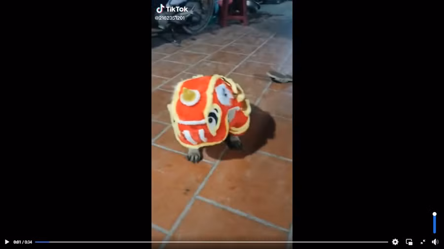 Clip: Màn tập múa lân đón Trung thu có 1-0-2