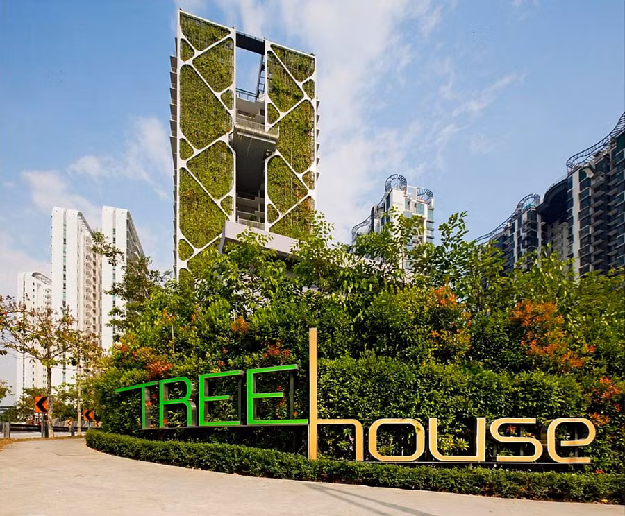 Vườn treo sinh bích Tree house.