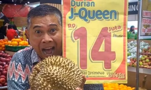 Sầu riêng J-Queen bày bán trong siêu thị ở trung tâm Plaza Asia. Ảnh: Instagram. 